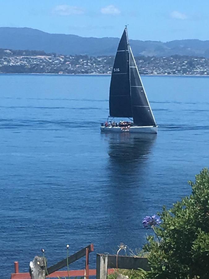 Beach Buoy Opossum Bay South Arm Zewnętrze zdjęcie